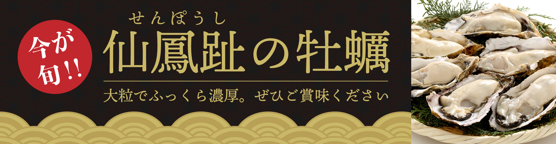 仙鳳趾の牡蠣　今が旬　大粒でふっくら濃厚